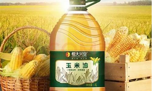 恒大兴安玉米油价格_恒大玉米油5升价格