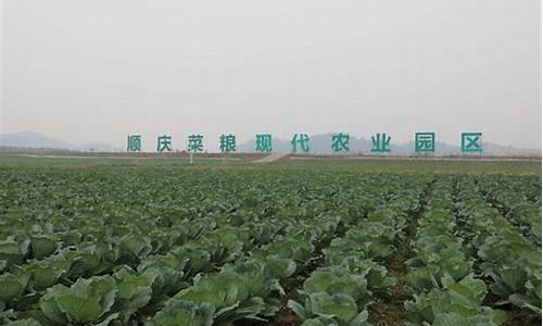 南充农商银行股金价格查询_南充农商银行股金价格