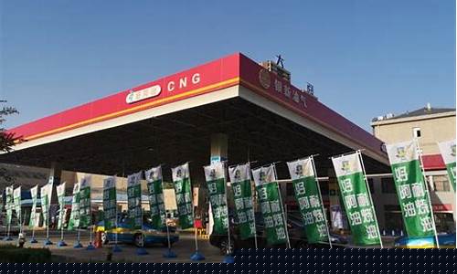 2019民营加油站油价格_民营加油站数量省份排名