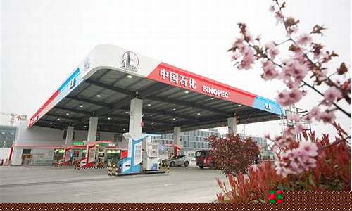 徐州苏北石化加油站油价_徐州苏北石化加油站油价多少