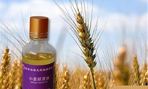 海南小麦胚芽油价格行情_小麦胚芽油品牌排行榜