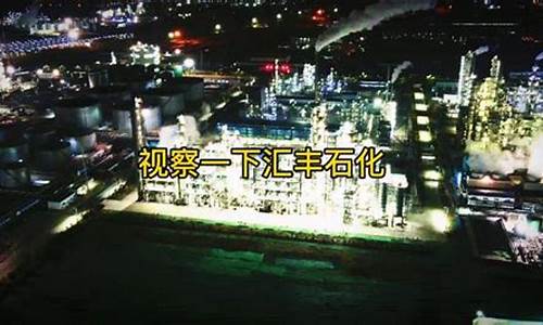桓台汇丰石化油价_桓台汇丰石化加油站