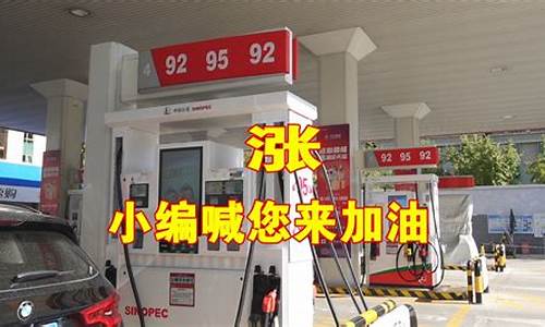 专业人士油价分析_油价介绍