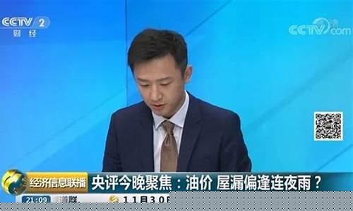 央视专家回应油价_油价真相