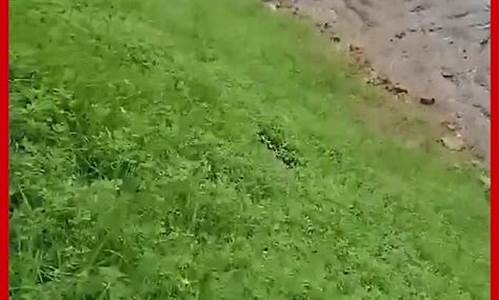 潮州喷油价钱方案_潮州汽油