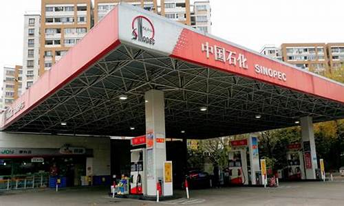 大庆龙华路加油站油价_大庆龙凤加油站